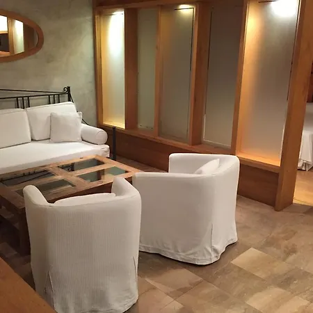 Hotel Mas Pau 4*